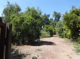 Sitio en venta en Lo Barnechea — foto 4 de 8